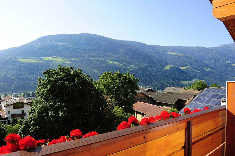 Hotel Das Stachelburg بارشينيس المظهر الخارجي الصورة